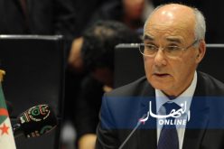 «مخازن حبوب قورصو مهددة بالانهيار.. وتعليمات وزارية عاجلة بترميمها»