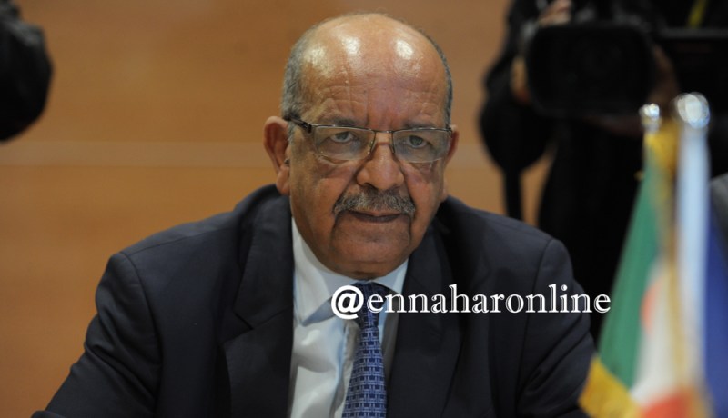 مساهل :” 16 ماي يوم عالمي للسلام بفضل رئيس الجمهورية”