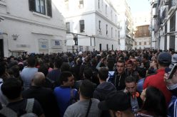 700 ألف طالب للحصول على “فيزا” خلال دقيقتين