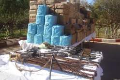 إحباط تهريب 8 أطنان من الكيف وأسلحة في بشار