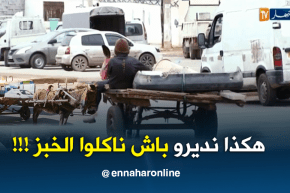 جزائريون: الكارو.. عربات تقليدية تصارع من أجل البقاء …