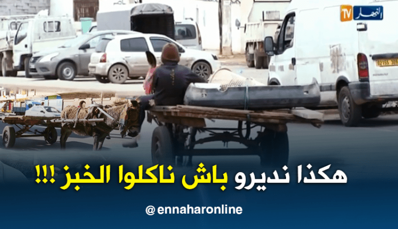 جزائريون: الكارو.. عربات تقليدية تصارع من أجل البقاء …