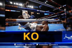 بالفيديو.. الأمريكي وايلدر يضرب بقوة ويُسقط خصما جديدا بالقاضية