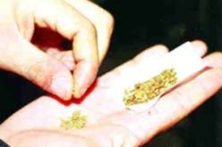 مدمنون يفطرون على المنبهات وآخرون يقضون سهراتهم الرمضانية في المحشاشات