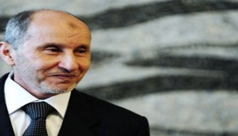 المجلس الانتقالي‮ ‬الليبي‮ ‬يتحمّل مسؤولية مراقبة حركة الأسلحة من وإلى ليبيا‮‬