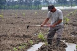 تسليم أكثر من 700 عقد امتياز للأراضي الفلاحية بقسنطينة