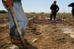 ''نفطال'' تقرّر بيع الوقود للفلاحين خلال ساعات الليل