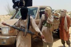 المتمردون يسيطرون على مدينة في شمال افريقيا الوسطى