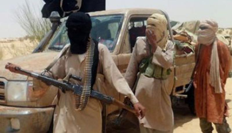 المتمردون يسيطرون على مدينة في شمال افريقيا الوسطى