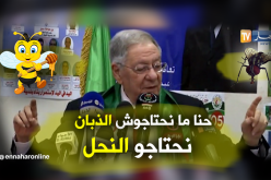 ولد عباس: ما نحتاجوش “الذبان”