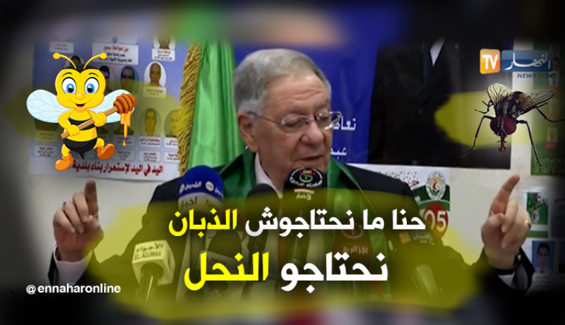 ولد عباس: ما نحتاجوش “الذبان”