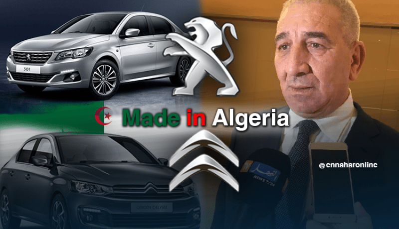 تعرف على سيارات بيجو الجزائرية..