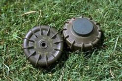 العثور على ثلاث رفاة‭ ‬و‮001 ‬لغم في‮ ‬تبسة