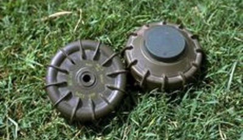 العثور على ثلاث رفاة‭ ‬و‮001 ‬لغم في‮ ‬تبسة