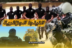 وحدات النينجا الجزائرية..قوة ضاربة