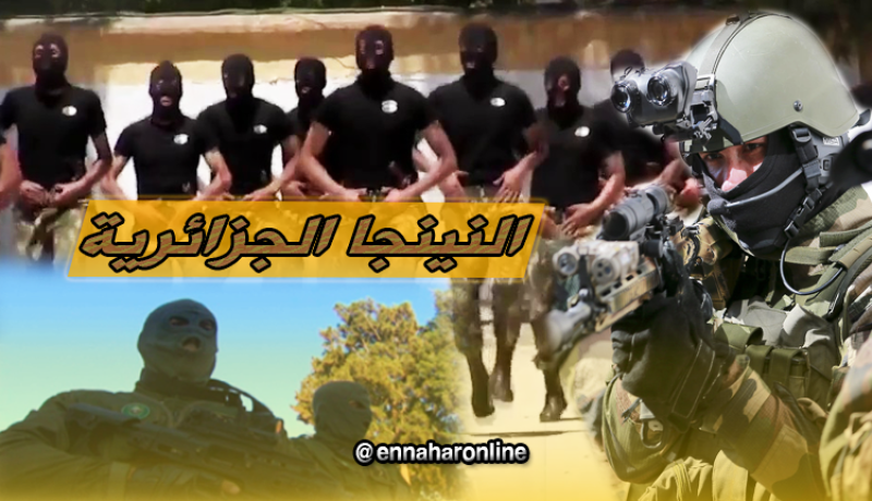 وحدات النينجا الجزائرية..قوة ضاربة