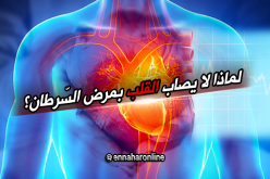 هل تعلم لماذا لا يصاب القلب بمرض السرطان ؟!!!