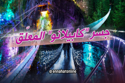 تعرّف على جسر “النسيان” في كندا..مغامرة مثيرة وسط الطبيعة