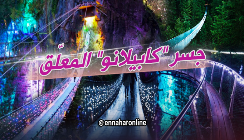 تعرّف على جسر “النسيان” في كندا..مغامرة مثيرة وسط الطبيعة