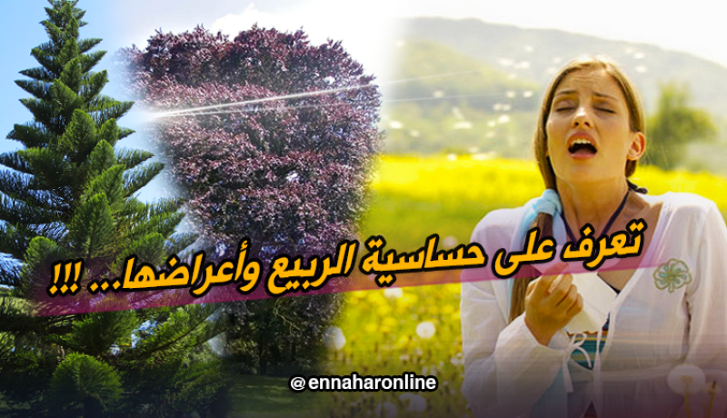 حساسية الربيع ..أسبابها، أعراضها وطرق الوقاية منها