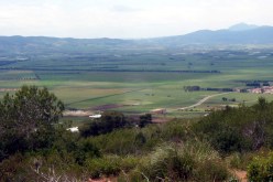 مغاربـة يستولون على أراضٍ فلاحية ملك لجزائريين على الحدود الغربية في تلمسان