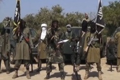 إستسلام العشرات من مسلحي”بوكو حرام” شمال الكاميرون