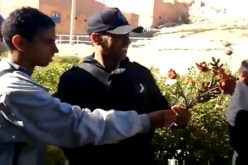 الورود للإحتجاج في‮ ‬الأغواط