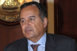 فهمي: الانتخابات الرئاسية المصرية بداية صيف 2014