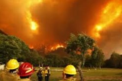 مقتل 17 شخصا جراء حرائق في كاليفورنيا