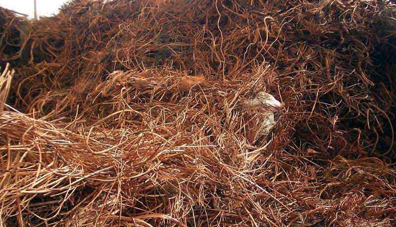 جمارك الغزوات تحبط تهريب 7.2 قنطار من النفايات النحاسية نحو المغرب