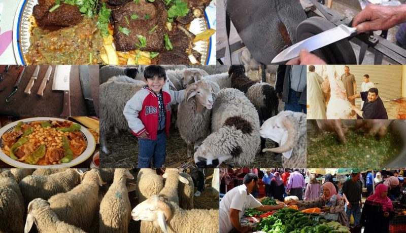 عادات وتقاليد الجزائريين في عيد الأضحى