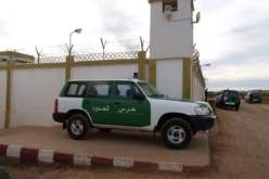 تحويل الأفراد بعد 3 سنوات من الخدمة وعملية نقل دورية بين السرايا والخيم