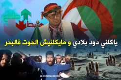 الشيخ النوي: الحرڨة سرطان العقول..