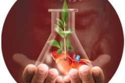 تدوين هوية المتبرع بالأعضاء بصفة قانونية محور لقاء جهوي قريبا بالبليدة