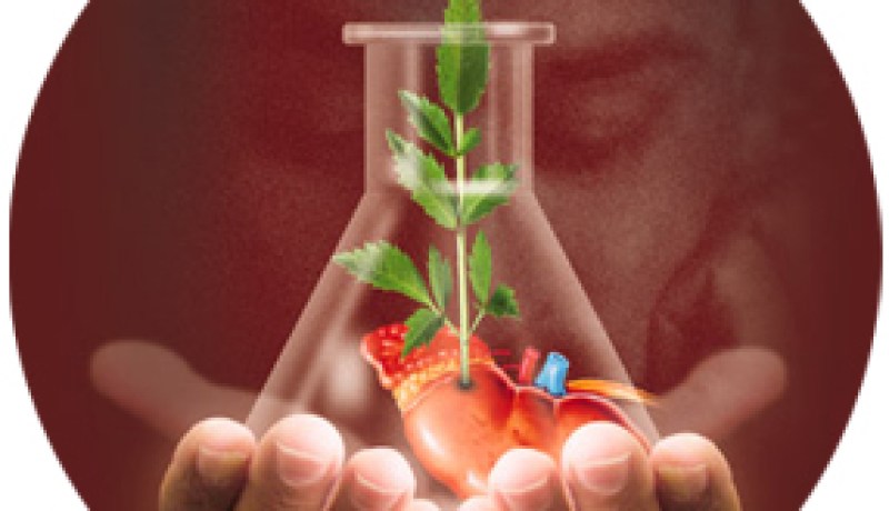 تدوين هوية المتبرع بالأعضاء بصفة قانونية محور لقاء جهوي قريبا بالبليدة