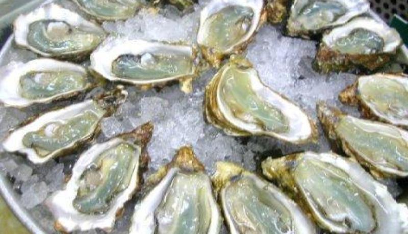 مشروع لتربية المحار ببلدية سيدي لخضر الساحلية بمستغانم