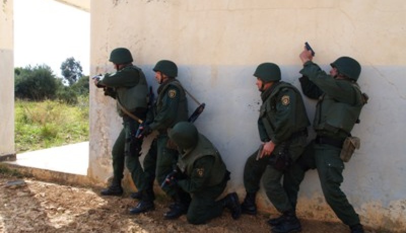 فرق من قوات التدخل السريع لحماية الرعايا الأجانب في الجنوب