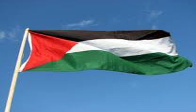 فلسطين تحمل إسرائيل المسؤولية الكاملة عن أزمة الكهرباء التي يعيشها قطاع غزة