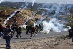 إصابة العشرات بالاختناق في مسيرة منددة بالاستيطان وجدار الفصل العنصري بالضفة الغربية