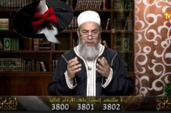 حكاية الشيخ شمس الدين وزير Papillon Cravate