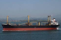 10 باخرات لنقل الحبوب المستورد وبودرة الحليب