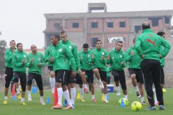 تدريبات المنتخب الوطني الجزائري في ملعب البليدة