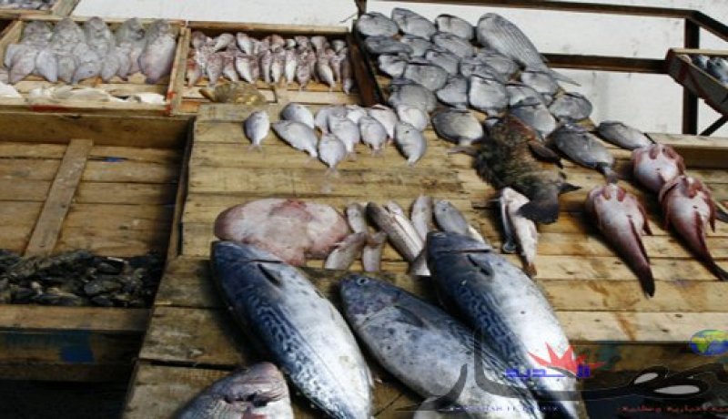 بلوط..البحارة لا زالو يستعملون الديناميت لصيد السمك