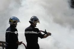 إنطلاق حملة تحسيسية لتفادي حرائق الصيف بقسنطينة
