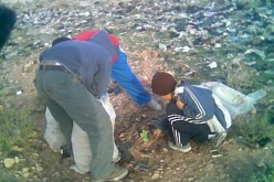 عدد القصر المتشردين تزايد بـ50‮ ‬في‮ ‬المائة في‮ ‬سنة‮ ‬2009