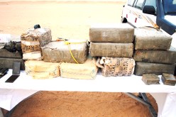 تفكيك شبكة جهوية كانت بصدد ترويج نصف قنطار من الكيف في سيدي بلعباس