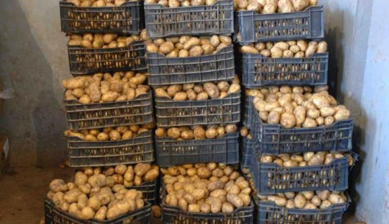 الأحوال الجوية وراء ارتفاع أسعار البطاطا في الجزائر