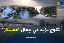 معسكر تكتسي الحلة البيضاء