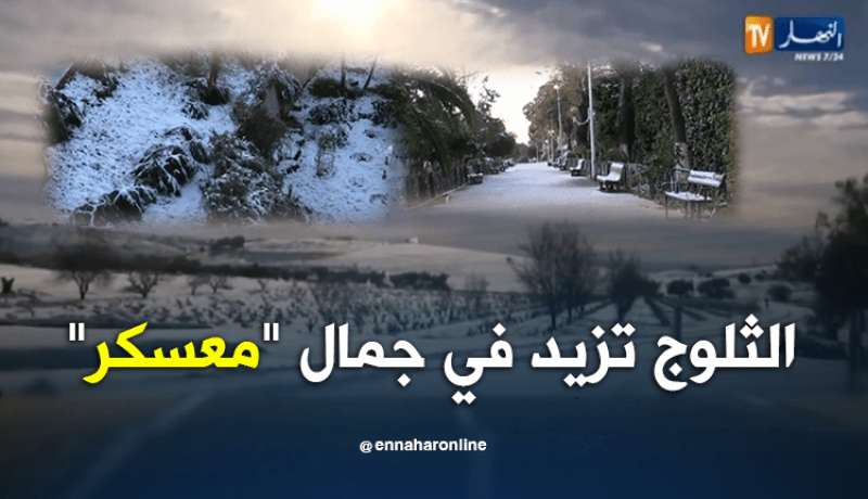 معسكر تكتسي الحلة البيضاء