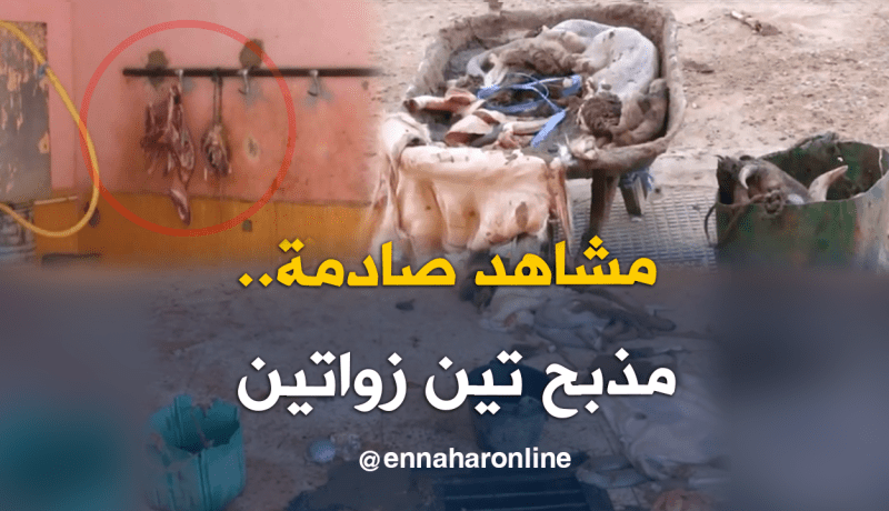 مذبح تين زاوتين في تمنراست يعيش وضعية كارثية